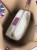 IMG_1987.jpeg
