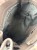 IMG_2010.jpeg