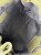 IMG_2019.jpeg